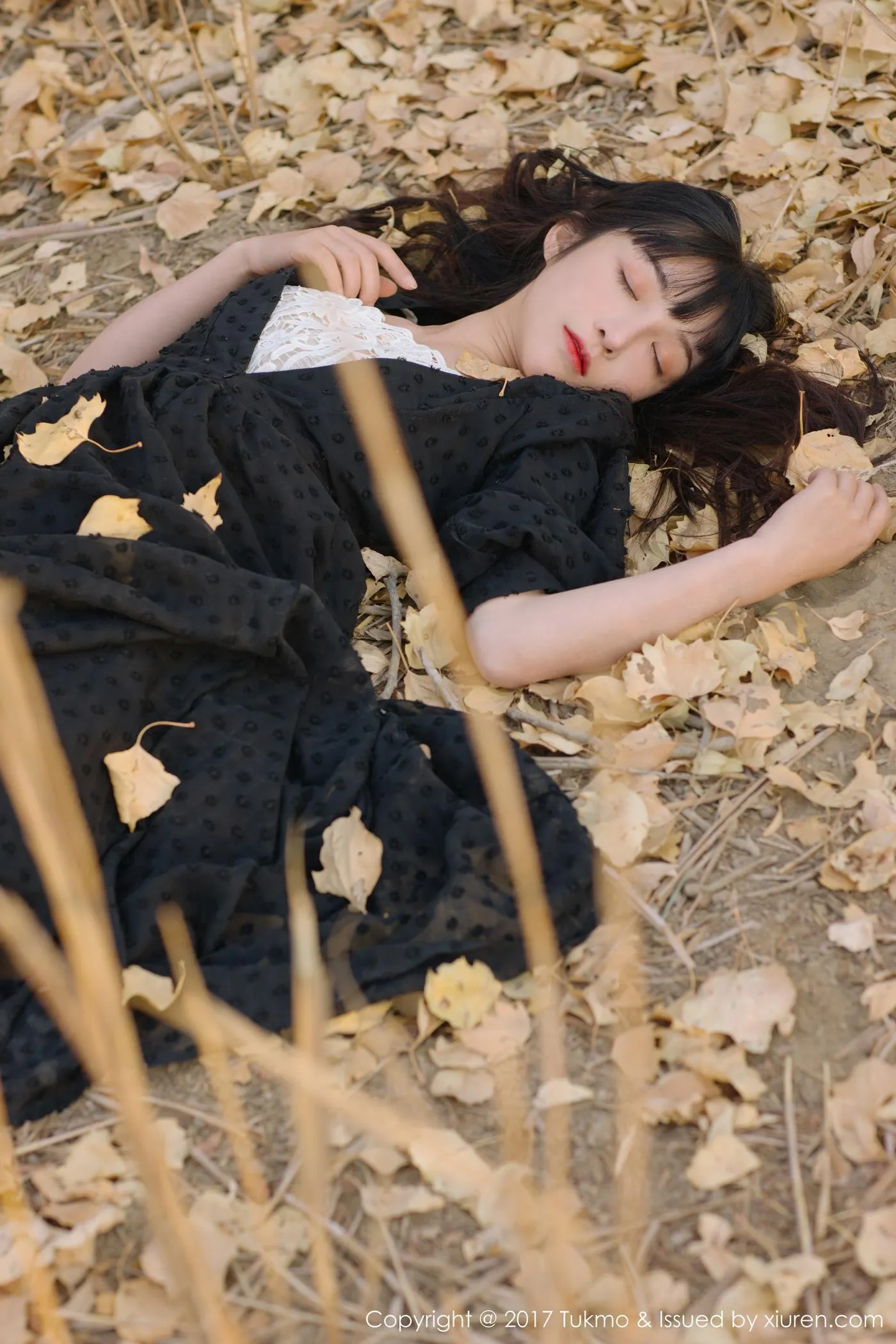 Vol.104 之应 [41P]插图1